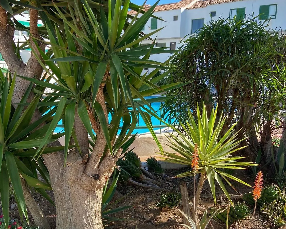 Apartamento Vacacional Paradise Arona  0*, Arona (Tenerife)